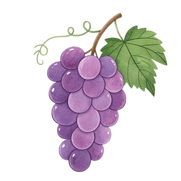 grapes 葡萄