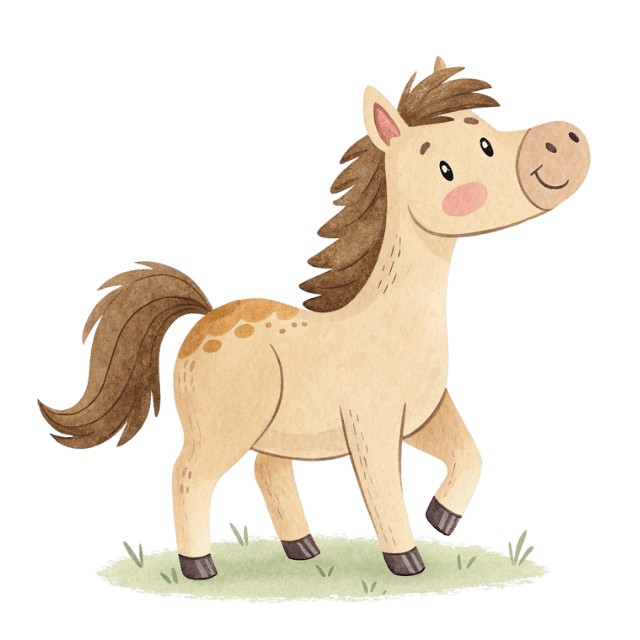 horse 马