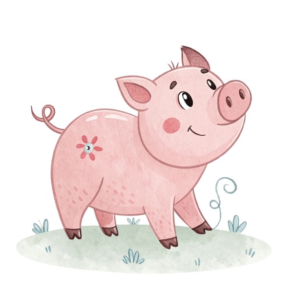 pig 猪